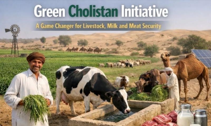 پالیسی بریف: گرین چولستان انیشی ایٹو کے تحت لائیوسٹاک ترقی