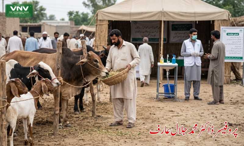 عیدالاضحیٰ لائیوسٹاک مینجمنٹ اور عوامی صحت کا بحران