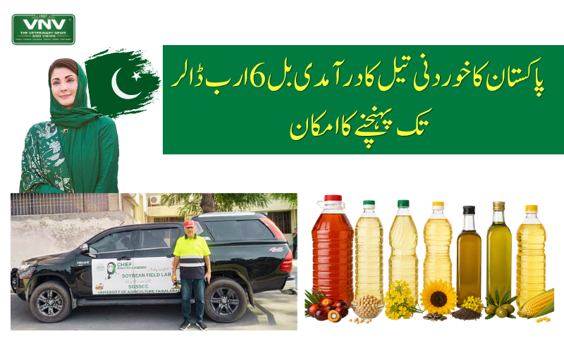 پاکستان کا خوردنی تیل درآمدی بل 6 ارب ڈالر تک پہنچنے کا امکان