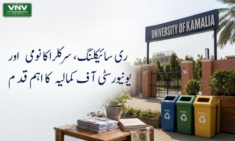 ری سائیکلنگ، سرکلر اکانومی اور یونیورسٹی آف کمالیہ کا اہم قدم