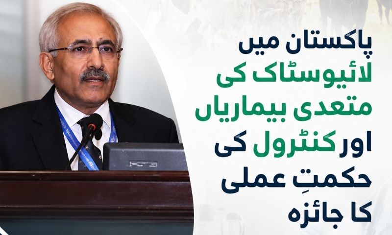 آم کی برداشت نگہداشت اور ویلیو ایڈیشن کی مکمل تفصیل