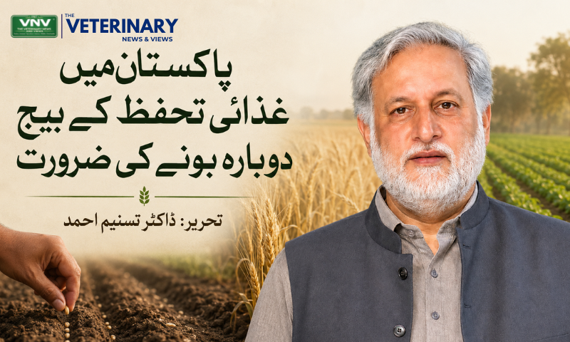 پاکستان میں غذائی تحفظ کے بیج دوبارہ بونے کی ضرورت