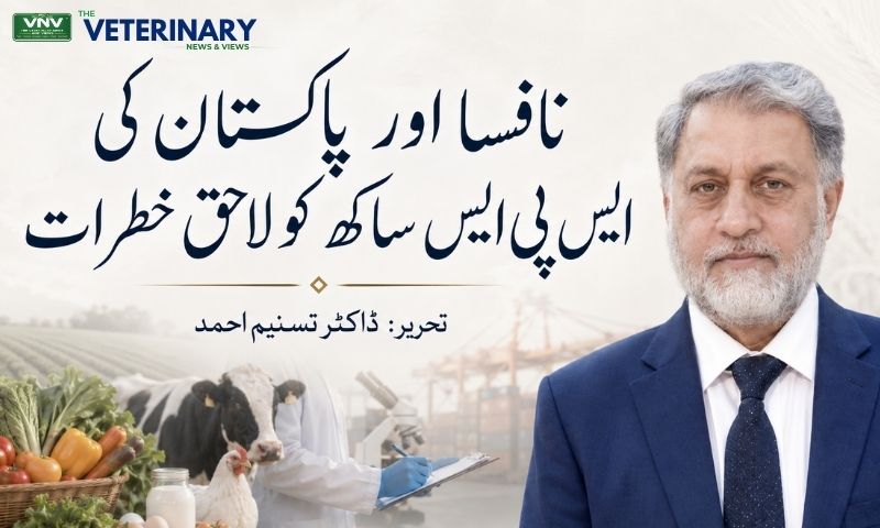 نافسا اور پاکستان کی ایس پی ایس ساکھ کو لاحق خطرات ڈاکٹر تسنیم احمد