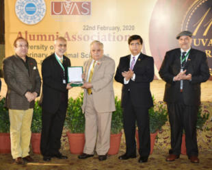 پروفیسر ڈاکٹر صغیر احمد جعفری یو وی اے ایس Alumni Association تقریب میں