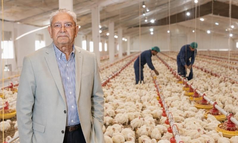 پاکستان میں تجارتی پولٹری فارمنگ اور سستی حیوانی پروٹین کی فراہمی