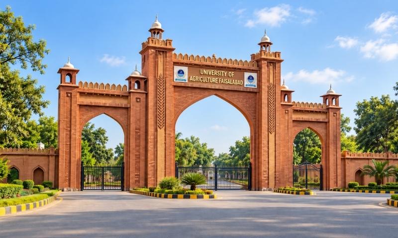زرعی یونیورسٹی فیصل آباد: گورنر پنجاب نے سینیٹ کے لیے 10 ارکان نامزد کر دیے