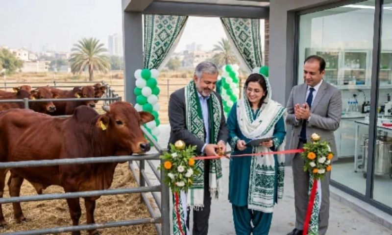 سندھ میں ریڈ سندھی مویشیوں کی افزائش کے لیے جدید بریڈنگ پروگرام کا افتتاح
